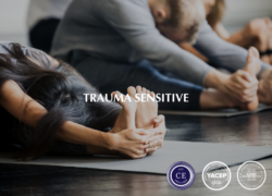 Trauma Sensitive – 60 Hours
