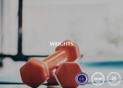 Weights – 20 Hours