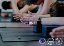 Yin 1