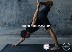300 Hour Training