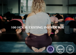 100 Hour Live – Online Training