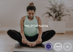 Pre/Postnatal – 20 Hours