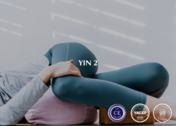 Yin 2