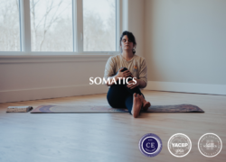 Somatics Live Training